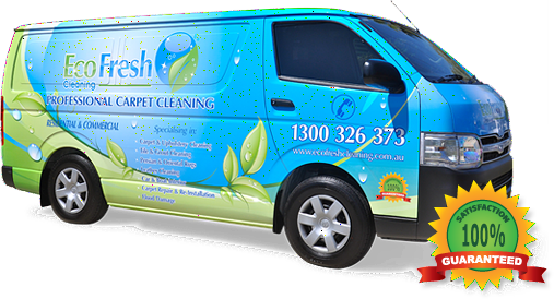 EcoFresh Cleaning